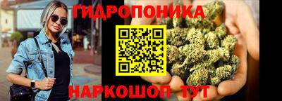 стафф Новозыбков
