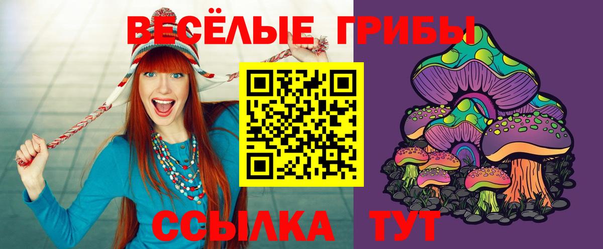 Псилоцибиновые грибы мицелий  Вход с VPN  купить наркотики цена  Рязань 